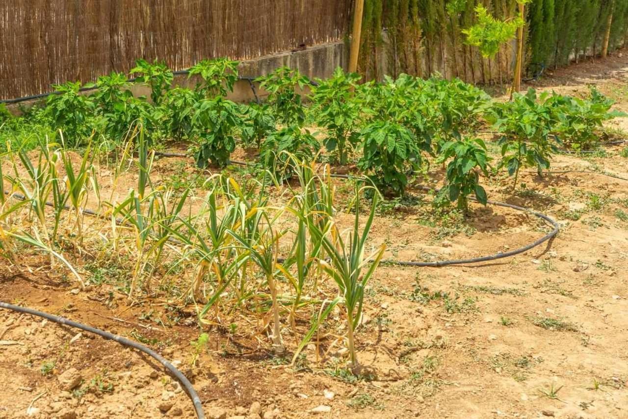Casa Rural Don Lope El Canuelo  Luaran gambar